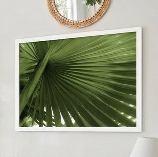 Stupell Industries Close Up Palm Leaf Lush Green Tropical Plant, White Framed Giclee Art 20x16