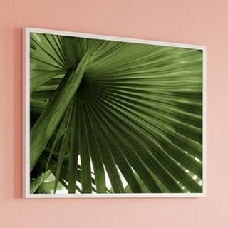 Stupell Industries Close Up Palm Leaf Lush Green Tropical Plant, White Framed Giclee Art 20x16